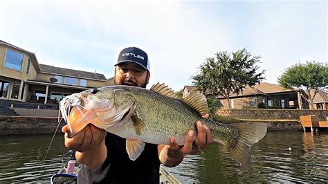 chatterbait live|Fall Bass Fishing